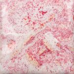 Mayco Stoneware Glaze - SW-226 - Pink Pearl - 1 pint